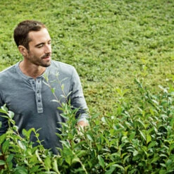 Bosch 18V Heggenschaar AHS 50-20 (zonder Accu) -Bosch 123 1566