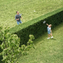 Bosch 18V Heggenschaar AHS 50-20 (zonder Accu) -Bosch 123 1567