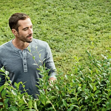 Bosch 18V Heggenschaar AHS 50-20 Li 50cm 8 Bosch 18V Heggenschaar AHS 50-20 Li 50cm - Afbeelding 8