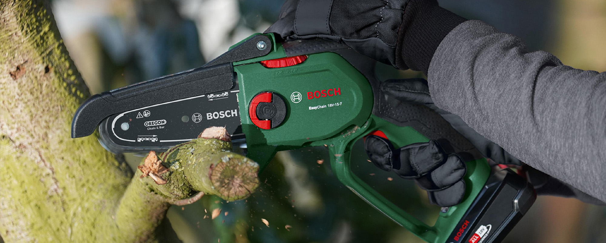 Bosch -Bosch 2